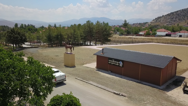 AT ÇİFTLİĞİ
