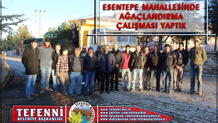 Esentepe Mahallemizde Ağaçlandırma Çalışmaları