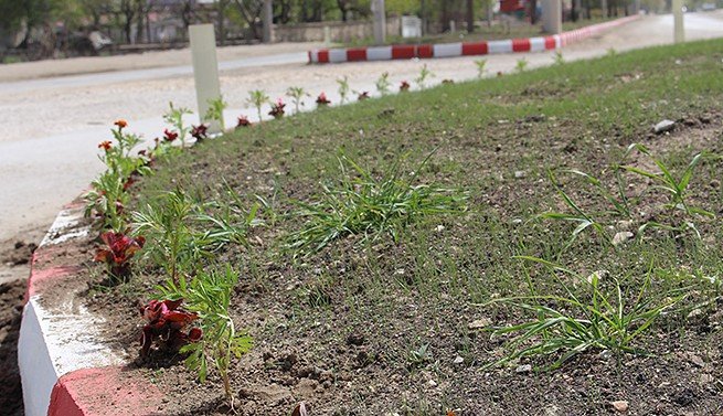 TEFENNİMİZE BAHAR GELDİ!