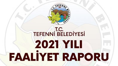 2021 Yılı Faaliyet Raporu